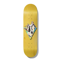 新品未使用 Baker Spanky Deck デッキ 8.19 Baker Jollyman Lives Spanky 8.5 Deck - Royal Blue Stain / 2022